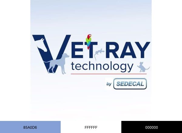 Vet Ray Tech brand color palette