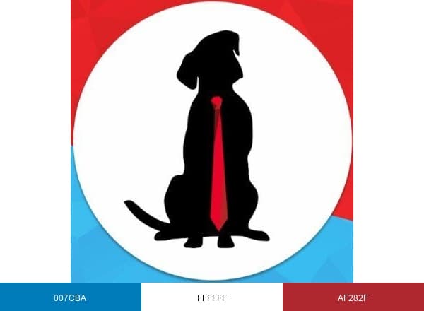 Veterinary Growth Partners brand color palette