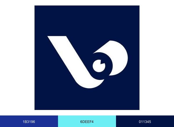 ViableView brand color palette
