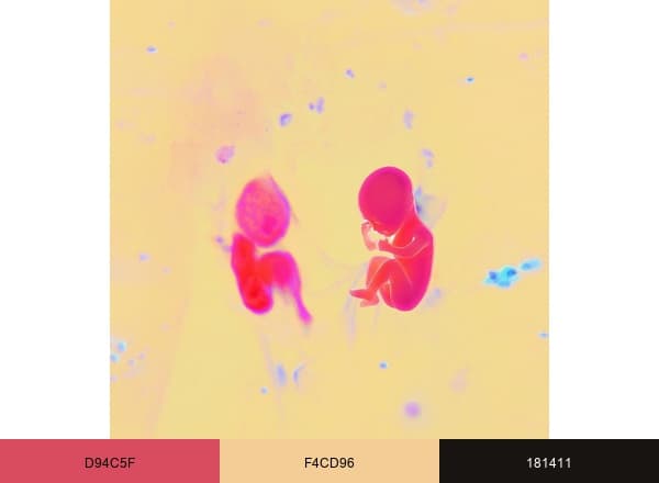 Victoria's Cells brand color palette