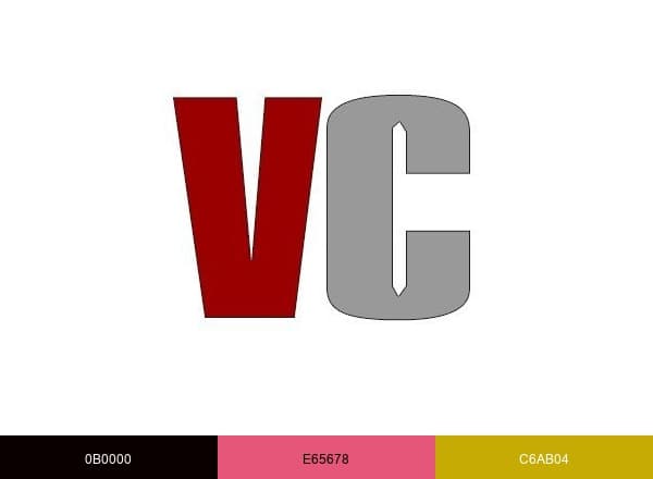 The Vigilant Citizen brand color palette