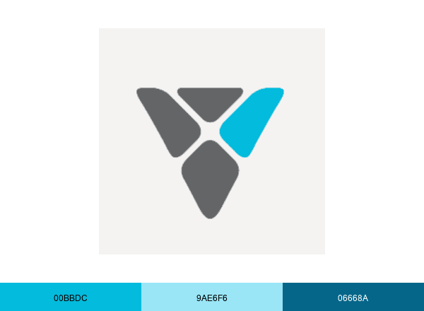 Village Medical brand color palette