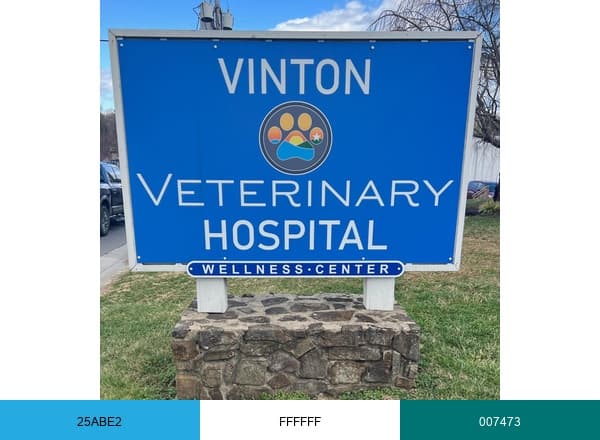 Vinton Veterinary Hospital brand color palette
