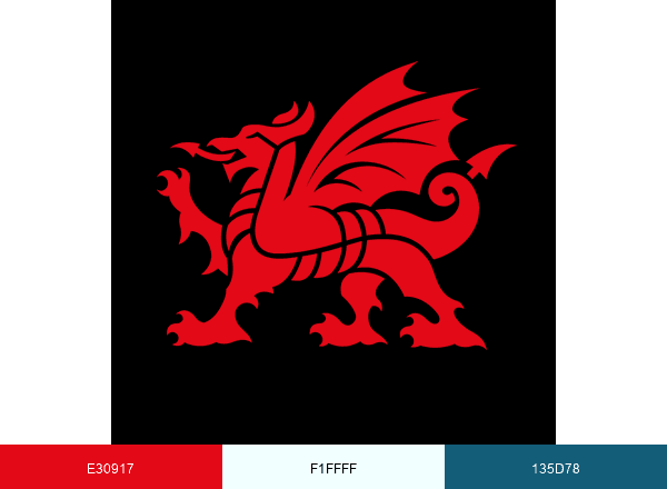 Visit Wales brand color palette