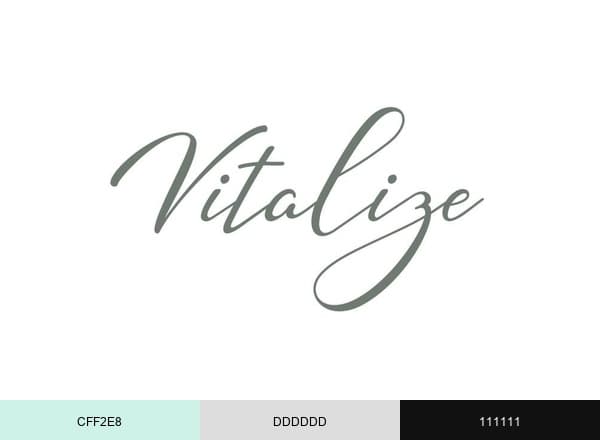 Vitalize Physical Therapy brand color palette