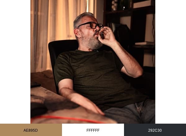 Vivaldi Cigars brand color palette