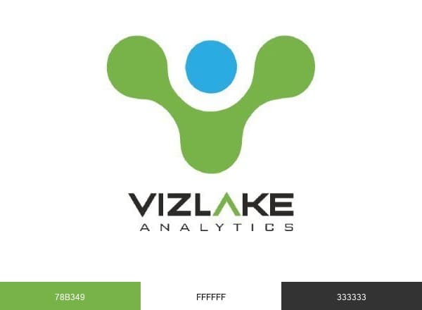 Vizlake Analytics brand color palette