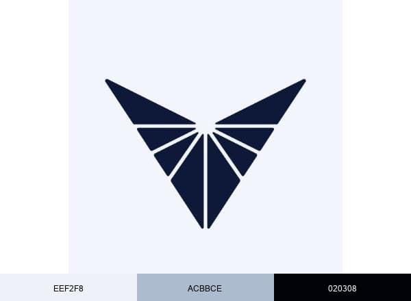 Voyager Technologies brand color palette