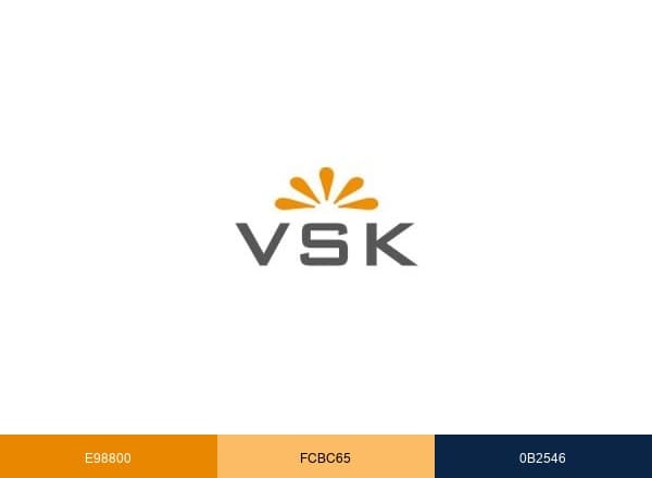 VSK Newsroom brand color palette