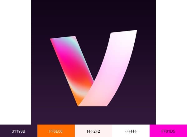 VTM brand color palette