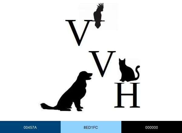 Village Vet Hospital brand color palette