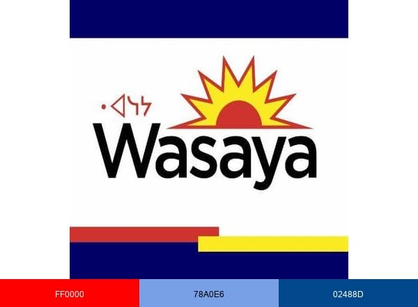 Wasaya Airways LP brand color palette