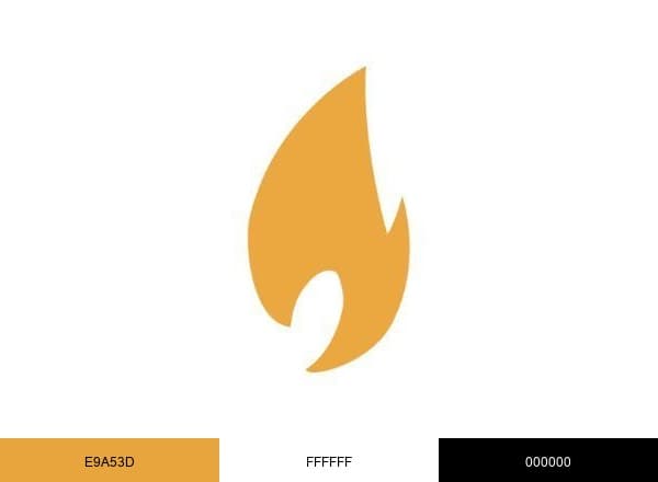 The Washington Stand brand color palette