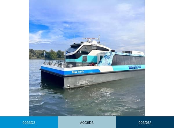 Waterbus brand color palette