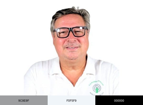 Franck Scandolera brand color palette