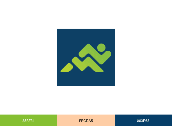 Momentum Physical Therapy & Sports Rehab brand color palette