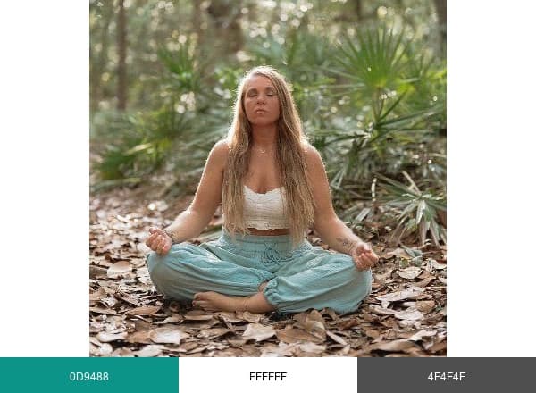 Wellness Mama brand color palette