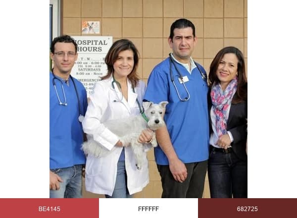 Wellswood Animal H. brand color palette
