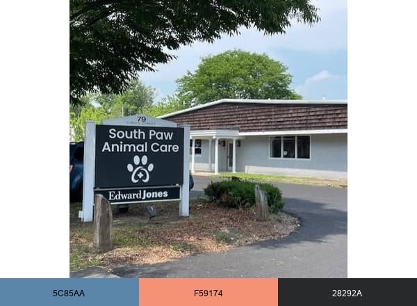 South Paw Animal Care brand color palette