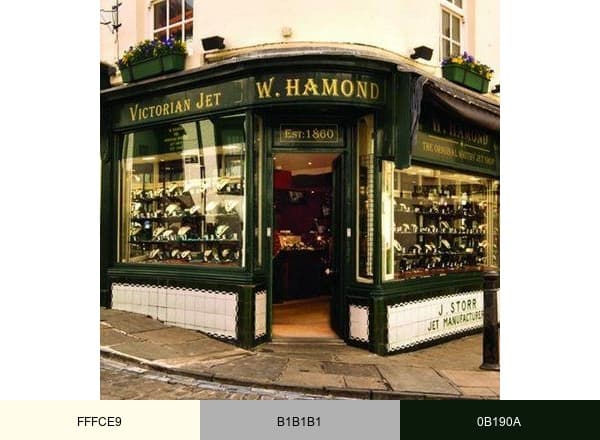 W Hamond brand color palette