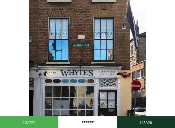 Whyte's Auctioneers brand color palette