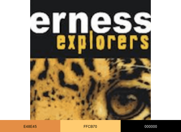 Wilderness Explorers brand color palette