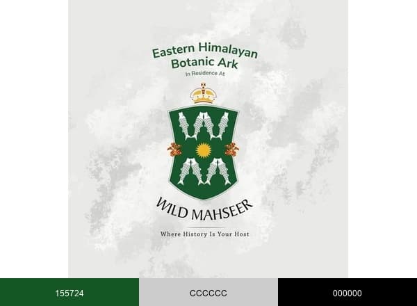 Wild Mahseer brand color palette