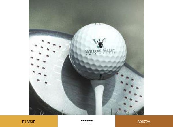 Willow Valley Golf brand color palette
