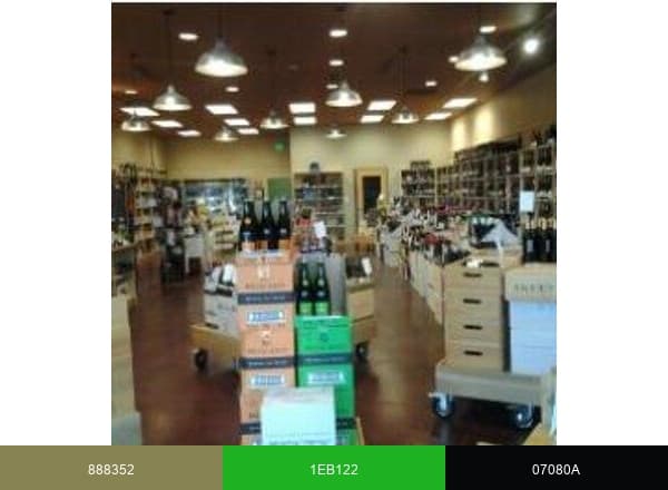 Wine Loft brand color palette
