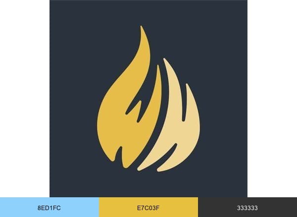 Wisdom Hunters brand color palette