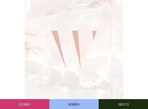 Women Warriors brand color palette