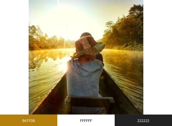 World Travel Family brand color palette