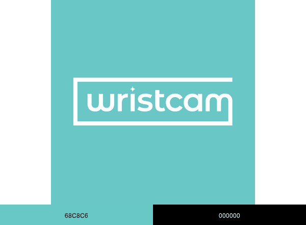 Wristcam brand color palette