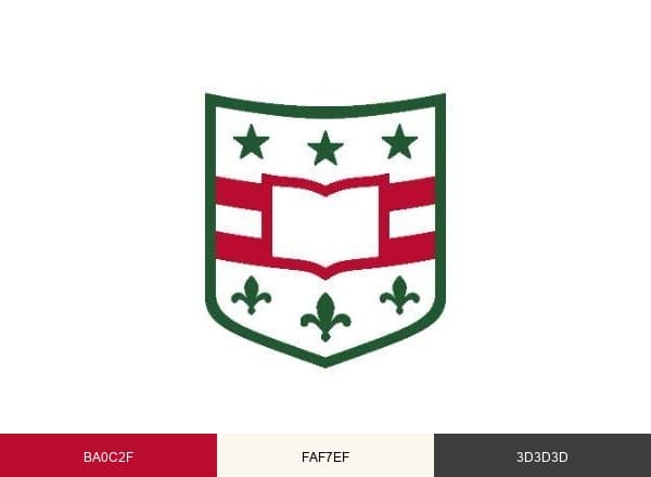 WashU brand color palette