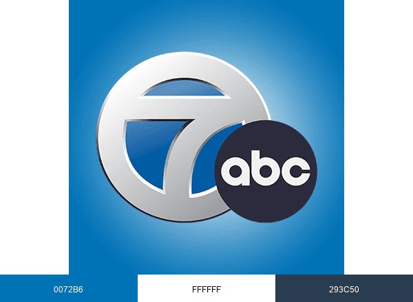 WXYZ Detroit brand color palette