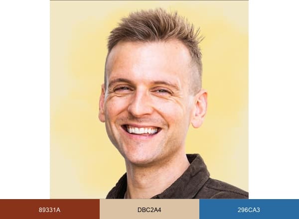 Wyse Guide brand color palette