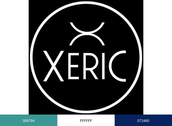XERIC WATCHES brand color palette