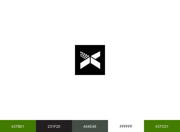 XYVID brand color palette