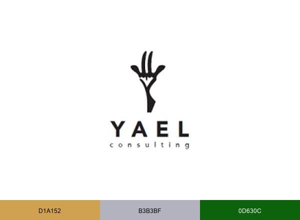 Yael Consulting brand color palette