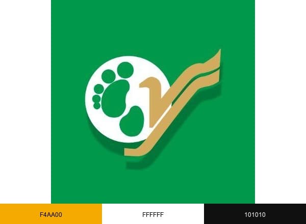 Yeti Airlines brand color palette