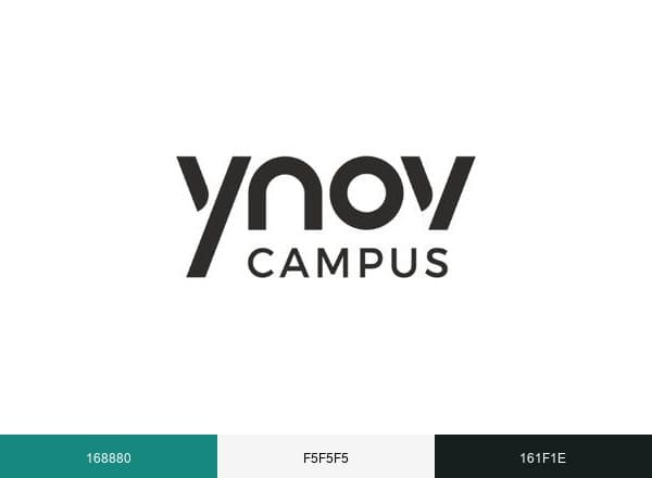 YNOV Campus brand color palette