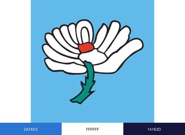 Yorkshire CCC brand color palette