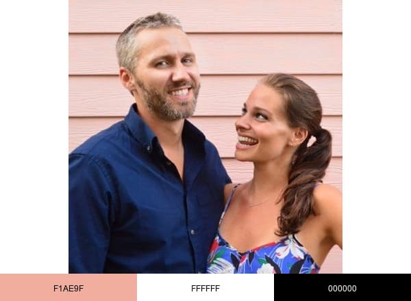 Young House Love brand color palette