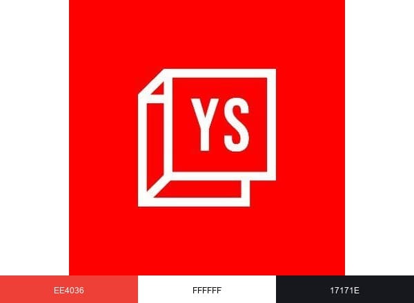 YourStory brand color palette