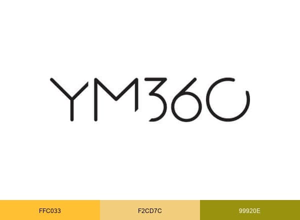 Youth Ministry 360 brand color palette