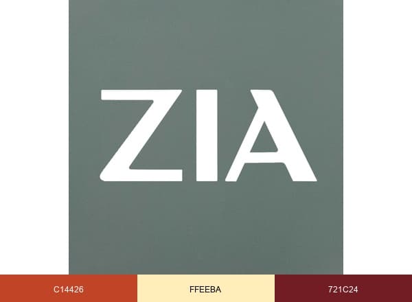 Zia Tile brand color palette