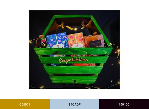 Zorro & Zoey Gift Studio brand color palette