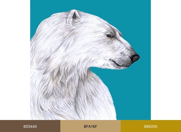 Zoo Rostock brand color palette