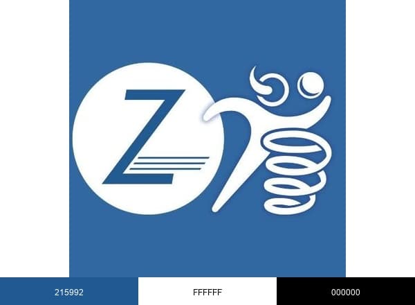 Zoomers Health brand color palette