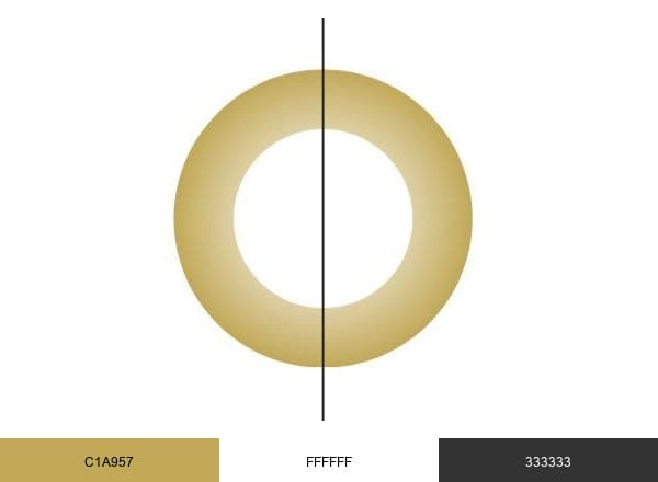 ZWEICHIRURGEN brand color palette